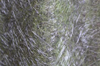 Manton fibreglass roof work