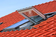 Manton roof window